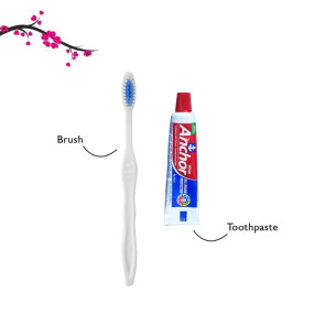 Polism Hotel Dental Kit, Pack Of 100, With Toothbrush & 8 Gram Toothpaste, Bio-Degradable Kraft Paper Pouches|Manual|Adult|White