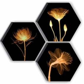 SAF Set of 3 Hexagon Preety Brown Floral UV Textured MDF Home Decorative Gift Item Painting 17 Inch X 17 Inch SANFHX15SMALL