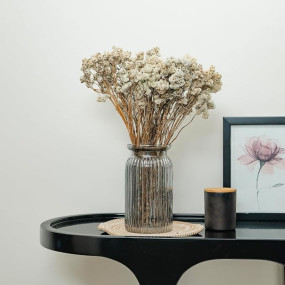 IDIKA Living Himalayan Daisy Dried Flowers | Natural Dried Blooms| 70 Grams | Naturally Preserved, Delicate & Everlasting | Perfect for Home Decor, Floral Arrangements, Bouquets & DIY Crafts(White)