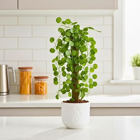 fancymart Artificial Green Leaf Hanging Creeper on Moss Stick (Without Pot) – 60 cm Tall Hanging Creeper Plant for Indoor Home, Office, Restaurant & Café Decoration