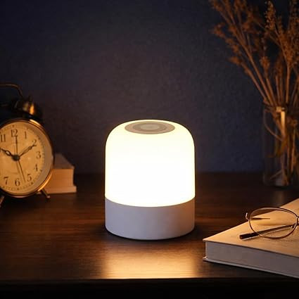 Oval Shaped LED Table Lamp – USB Rechargeable Touch Night Light with 3 Modes, Dimmable Brightness by Long Press on Power Button, for Bedroom, Living Room, Study & Office (White, Pack of 1)