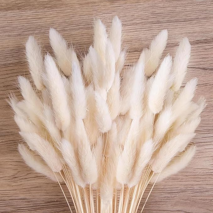 Set of 50 Pcs Natural Dried Bunny Tail Pampas Grass White Color Bunny Tail Pampas Boho Bouquet Artificial Flowers Decor for Table Vase Living Room Home Decoration (20 inch Length)