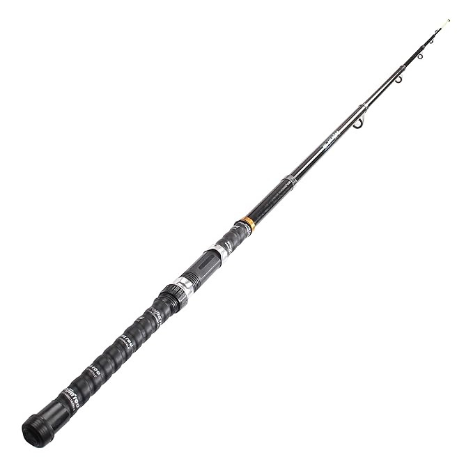 TA Light Weight Saltwater Freshwater Spinning Fishing Fiber Fishing Rod (300CM(10FT))