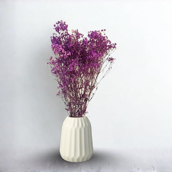 TA Preserved Baby's Breath Flowers|50 gm | Natural Dried Blooms | Long-Lasting Real Flowers for DIY, Home Decor & Gifting | Eco-Friendly(Purple)