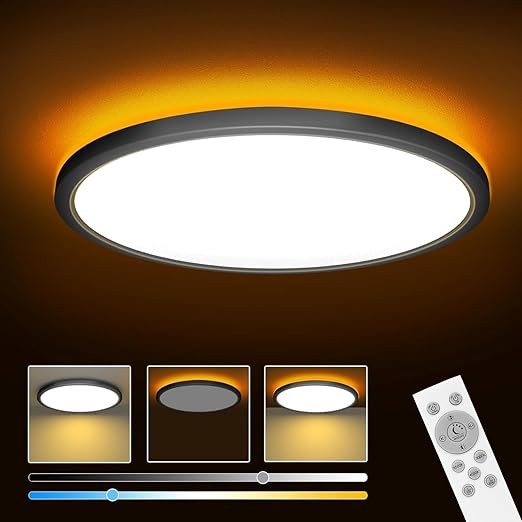 TA 12" Dimmable LED Ceiling Light with Remote Control, 24 W 3-Color Ceiling Light with Dim Night Light 1800k Warm, Round Flush LED Ceiling Lights (Black)