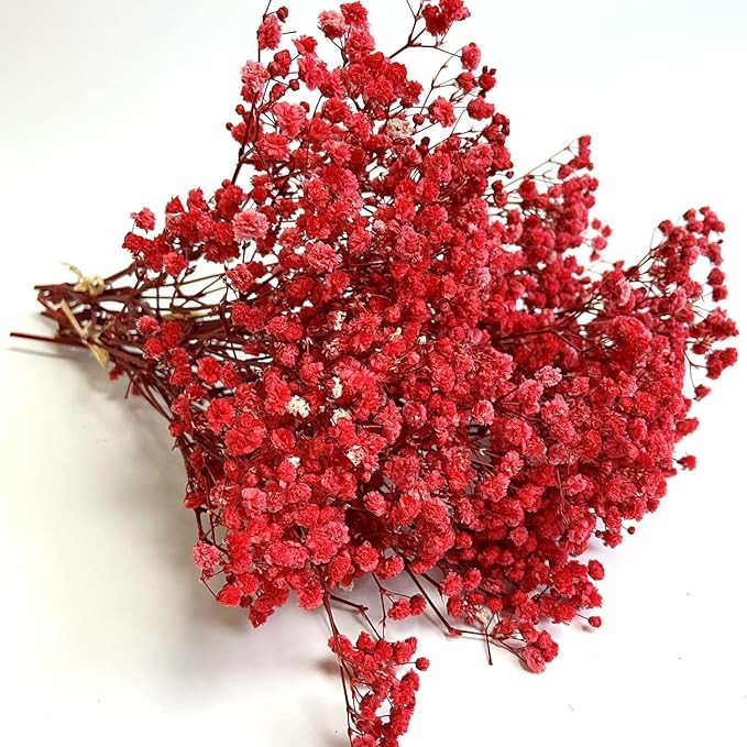 Dried Baby's Breath Flowers, Natural Pink, Dried Floral Arrangement for Home Decor, Weddings, Events (Red)
