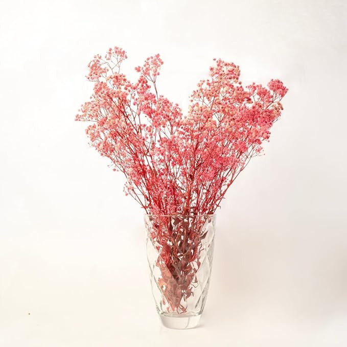 Preserved Baby's Breath Flowers|50 gm | Natural Dried Blooms | Long-Lasting Real Flowers for DIY, Home Decor & Gifting | Eco-Friendly(Baby Pink)