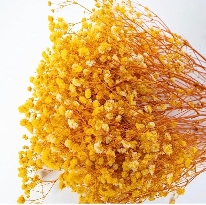 Natural Dried Yellow Baby's Breath Flowers, 50g Preserved Real Blooms, Long-Lasting Floral Stems for Home Decor, DIY, Gifting