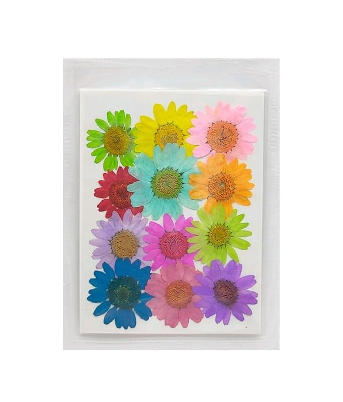 Pressed Flower for Resin Art, Decoration, Art & Craft DIY Resin Art Jewelry, Pack of 1 -Diasy Flower Set of 12