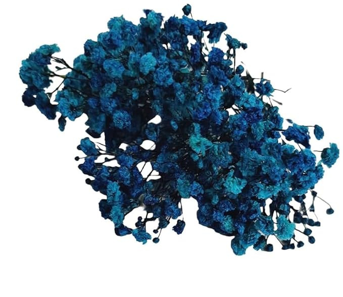 Preserved Baby's Breath Flowers, Natural Blue Dried Gypsophila Bouquet, Turquoise and Navy, Decorative Floral Arrangement