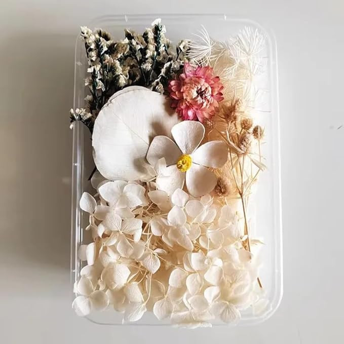 Dried Flowers Assorted Mix, Multicolor Natural Preserved Floral Set, Craft Supplies for Resin Art,Art Craft Mixed Soap, Candle, Scrapbook, DIY,Jewellery, Pendant-1 PC (White)