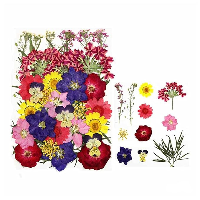 30 in 1 Multicolor Dry Pressed Flowers for Epoxy Resin Art Craft, Nail Extensions,Soap,Candle,Scrapbook, DIY, Resin Tray Jewellery, Pendant (30 in 1 Pressed Flowers)