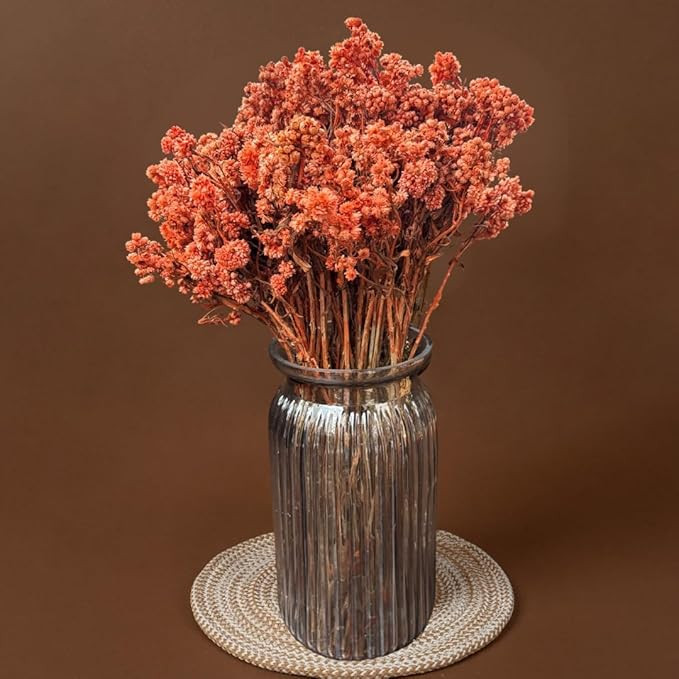 Dried Flowers | Natural Dried Blooms| 70 Grams | Naturally Preserved, Delicate & Everlasting | Perfect for Home Decor, Floral Arrangements, Bouquets & DIY Crafts(Orange)