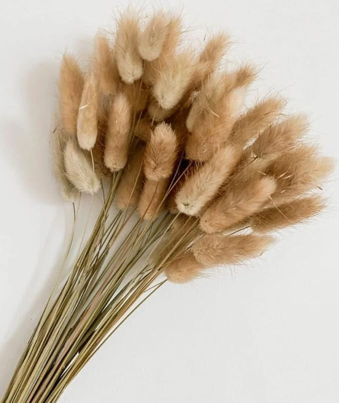 0 Pcs Set 17inch Natural Dried Pampas Grass,Real Rabbit Bunny Tail,Reed Pampas,Boho Bouquet,Artificial Flowers Decor for Table Vase Home Decoration. (50 Pcs Dried Bunny Tails)