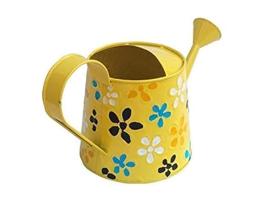 Watering Can 2.5 Litre Indoor Outdoor Home Gardening, Plants Watering can Metal Polka planters Round Metal for Plants & Flowers Decorative Garden Water Can with Handle