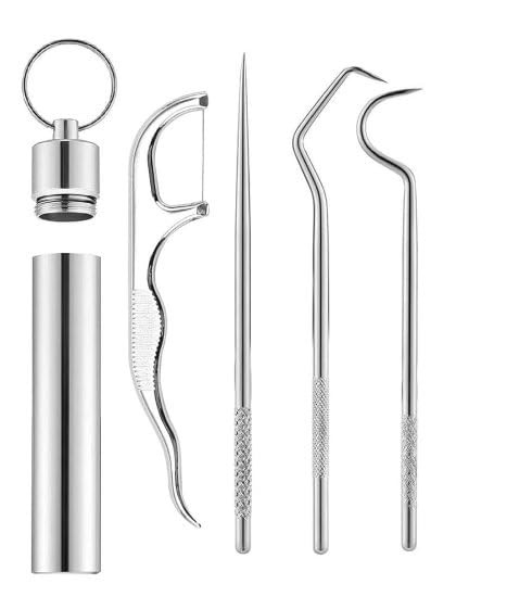 Generic Dental Floss Toothpicks Set Reusable Metal Toothpicks Rooth Cleaning Kit with Holder for Outdoor Picnic Camping Traveling