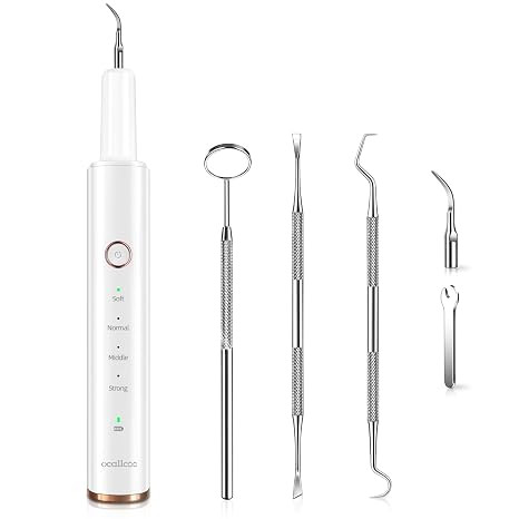 Plaque Remover for Teeth, Electric Tooth Cleaner Tartar Remover for Teeth with LED Light,4 Modes Rechargeable Teeth Cleaning Kit with Dental Tools, 2 Replaceable Heads (White A)