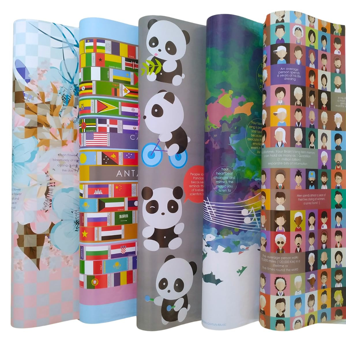 TA eVincE Wrapping Paper - Pack of 5 Large Gift Packing Paper with 28" x 20" - Multi Occasion Gift Paper for Diwali, Birthday, Wedding, Party Decor - Premium Recyclable Gift Wrapper with Fun Facts