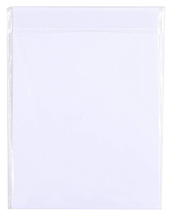 TA Sehgal Ivory A4 210 GSM Pack of 25 Sheets Sketching and Drawing Paper | Size -11.5 inches x 8.5 inches x 0.1 inch, 25 Sheets (25)