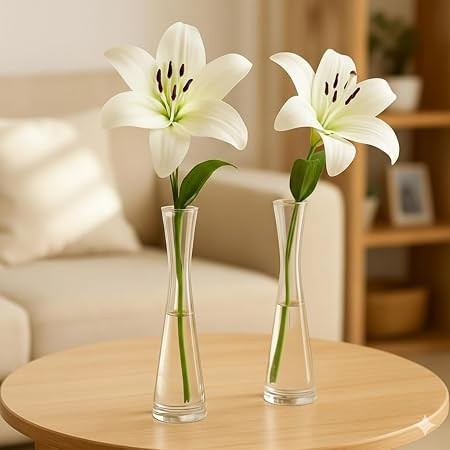 TA Elegant Single Stem Glass Flower Vase Set of 2 for Home Decor | Clear Decorative Bud Vases for Dining Table, Living Room, Bedroom, Office & Wedding Centerpiece (Height - 16 cm)