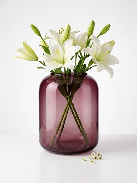 TA Hand Blown Wide Jar Shape Glass Flower Vase Handmade Decorative Pot for Home Decor Living Room Centre Table Gifting India