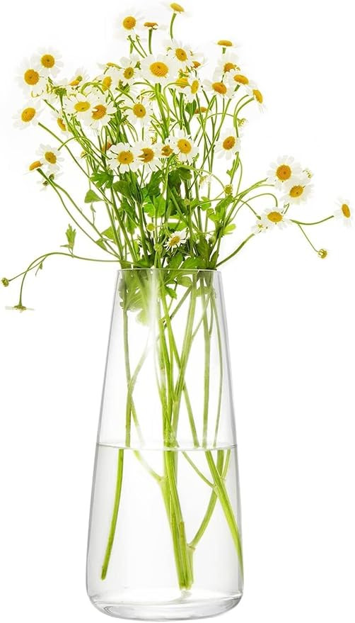 TA  Decorative Glass Vase - Transparent Flower Vase for Home Decoration Items for Living Room 9 inch | Unique Aesthetic Design, Center Table, Home & Office