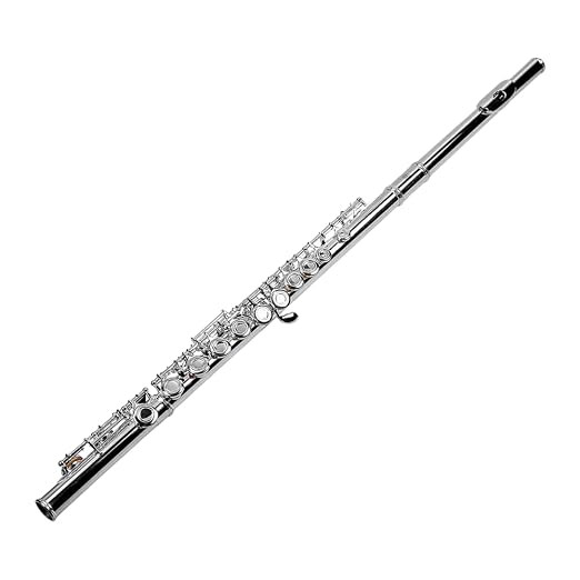Kadence FL-M1 Jamming Series Concert Flute | 16 Keys with Closed Hole | Steel Springs, Cylindrical Bore with C-Footjoint | Includes Hard Leather Case | Silver